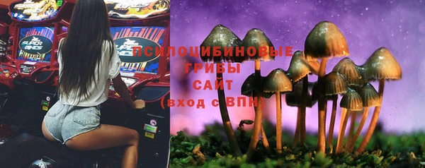 винт Беломорск