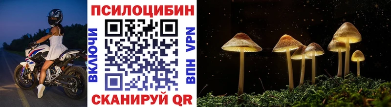 наркота  Шлиссельбург  Галлюциногенные грибы Psilocybe 